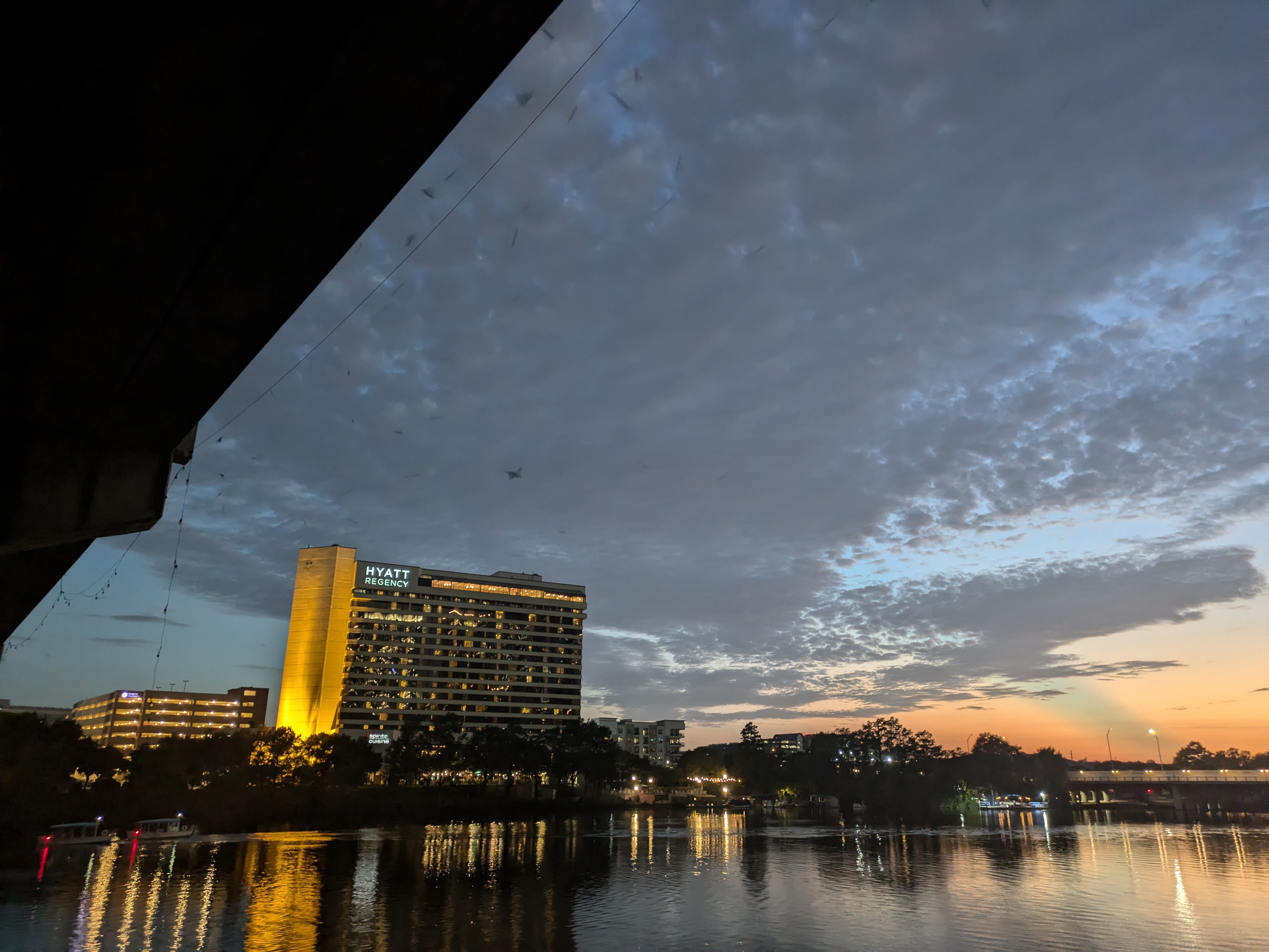 Congress Avenue Bridge Bats